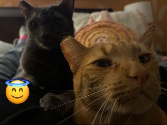 photo of Christina Y.