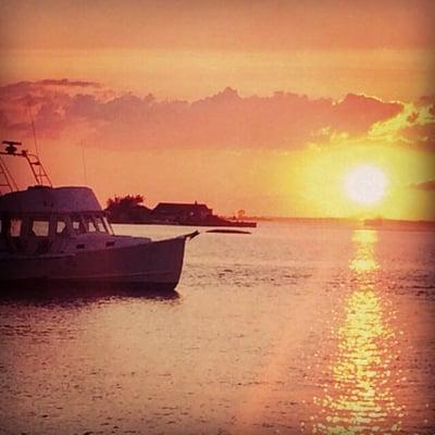 Photo of Christine O.