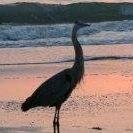 photo of R Joanne K.