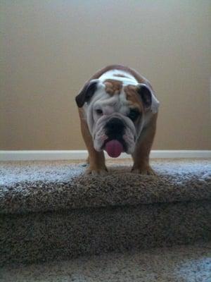 Photo of Jennille J.