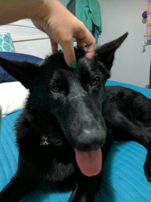 photo of Christina T.