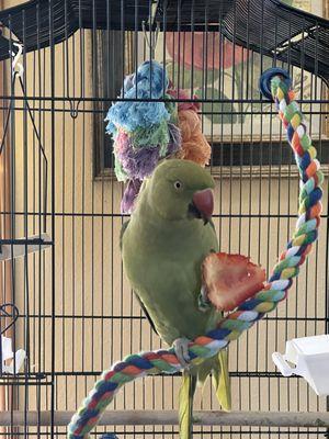 photo of Priscelia W.