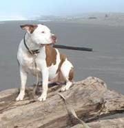 photo of Patty Sarge T.