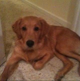 photo of Jeremiah M.