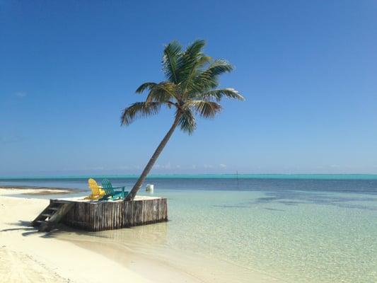 Photo of Jennifer F.