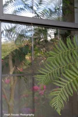 photo of Veronica T.