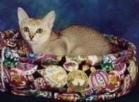Photo of Kathy S.