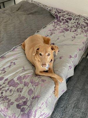 photo of Patricia W.