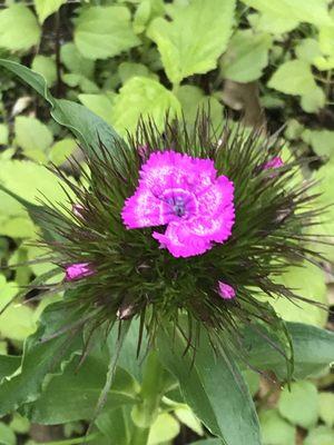 photo of Maryanne R.