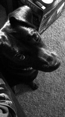 photo of Michelle S.