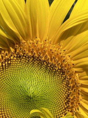 Photo of Catherine W.