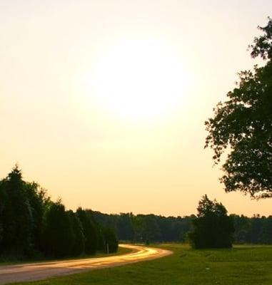 photo of Benebell W.