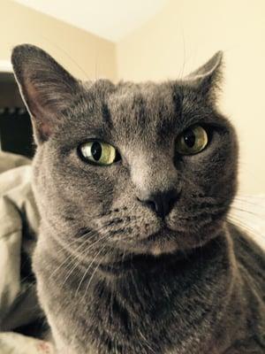 Photo of Cindy J.
