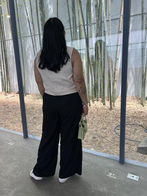 Photo of Ana M.