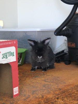 Photo of Phoebee C.