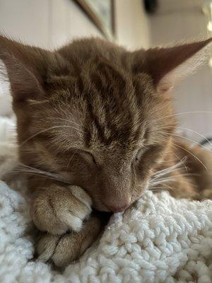 Photo of Victoria G.