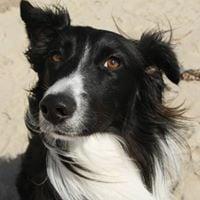 photo of Christine P.