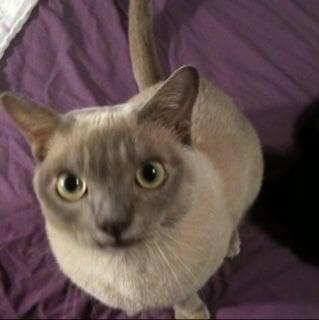 photo of Mary Jane M.