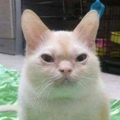 photo of Have Coffee W.