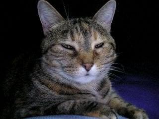 photo of Leah Chava R.