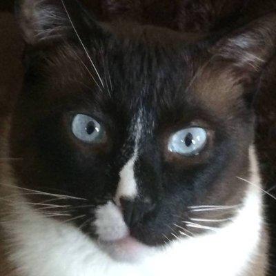 Photo of Tara A.