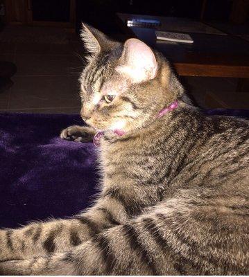 Photo of Roxi C.