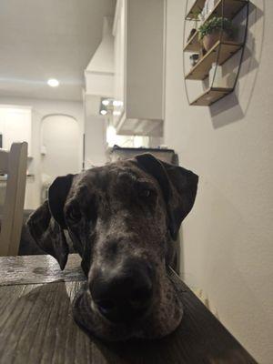 Photo of Baylee S.