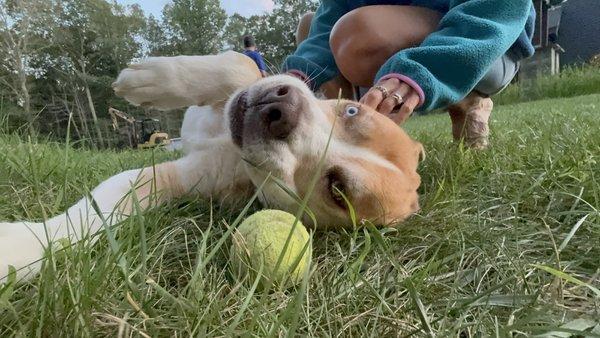 photo of Soysauce 1.