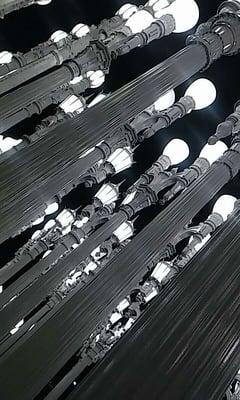 photo of Stephanie A.