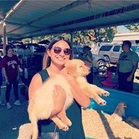 Photo of Ashley H.