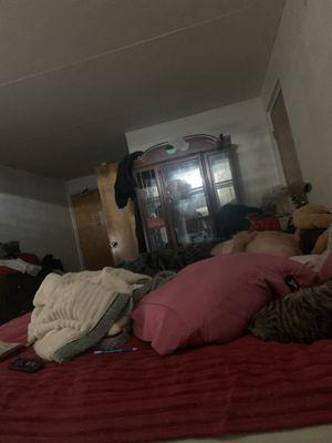 photo of Jennifer S.