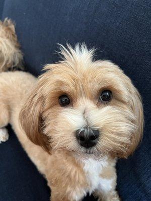 Photo of Ellie A.