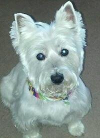 photo of Charlene T.