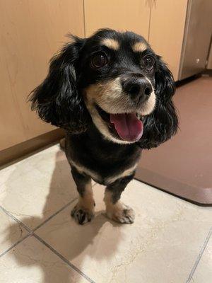 photo of Jacqueline G.