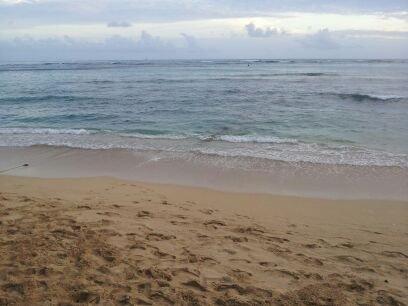 photo of Stormiee K.