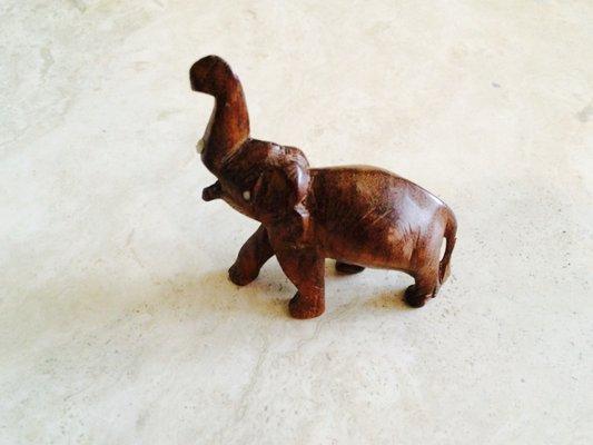 Photo of Courtney H.