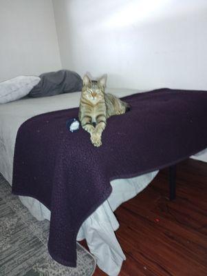 Photo of Eunique A.