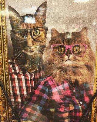 Photo of Cat W.