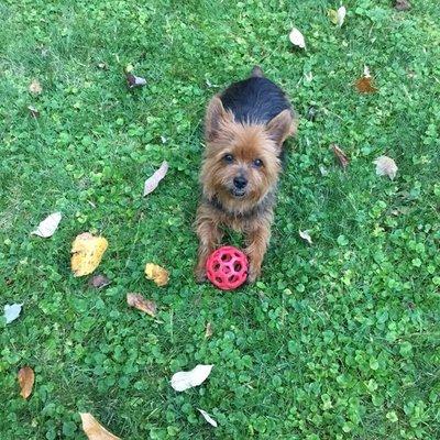 photo of Patricia D.