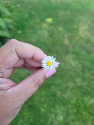 photo of Michelle W.