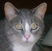 Photo of Christine C.