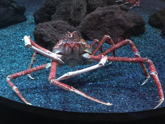 photo of Victoria S.