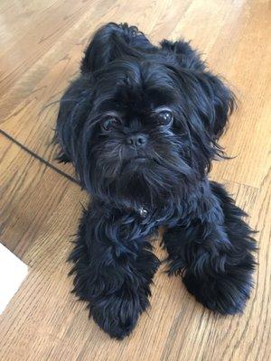 photo of Stephanie C.