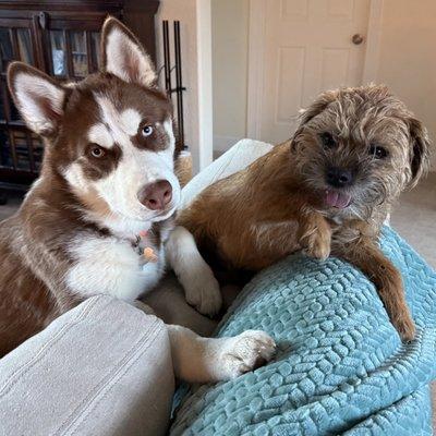 photo of Michelle W.