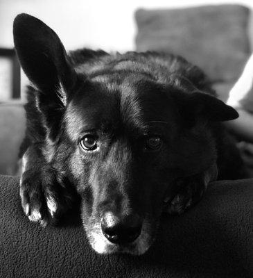 photo of Catherine N.