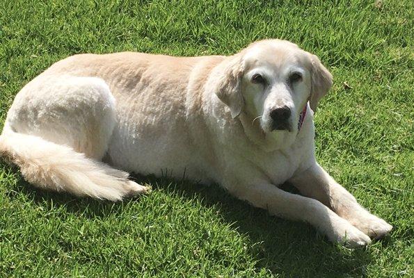 photo of Danielle C.