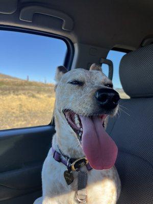 photo of Ms Daisy D.