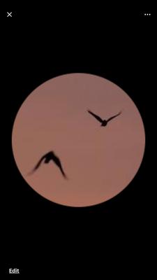 photo of Christopher L.