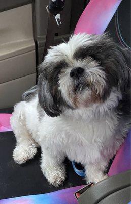 photo of Charlene D.