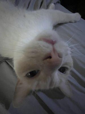 photo of Danielle H.